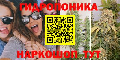 твердый Кандалакша