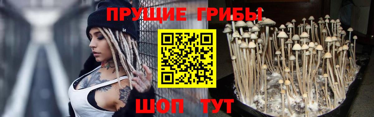 Галлюциногенные грибы мухоморы Коряжма